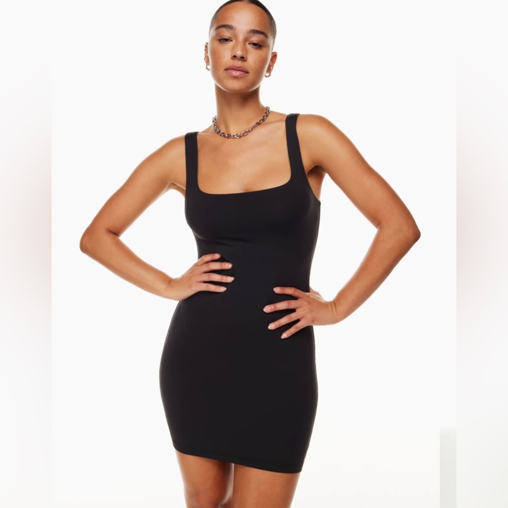 Babaton Aritzia Contour Mini Dress